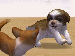 V[EY[