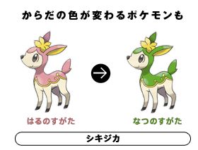炾̐Fς|PB