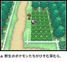 쐶̃|PЂޑނB