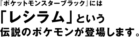 w|PbgX^[ubNxɂ uVvƂ `̃|Poꂵ܂B