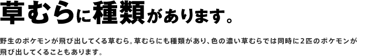 ނɎނ܂B
쐶̃|PяoĂ鑐ނBނɂނAF̔Zނł͓2C̃|PяoĂ邱Ƃ܂B