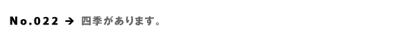 No.022  lG܂B