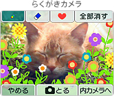 炭J