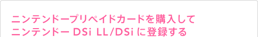 jeh[vyChJ[hwăjeh[DSi LL/DSiɓo^