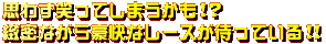 v킸΂Ă܂IH@kȂ獋ȃ[X҂ĂII