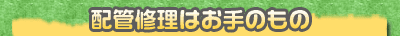 zǏC͂̂