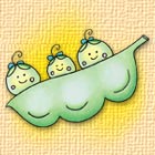 マメシスター