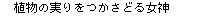 A̎ǂ鏗_