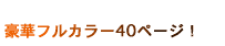 ؃tJ[40y[WI