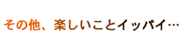 ̑AyƃCbpCc