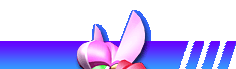 NiC CXg
