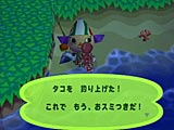タコが釣れた!