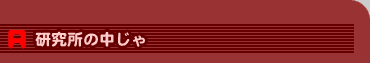 `D̒