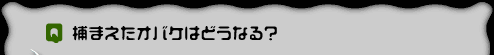 pD߂܂IoP͂ǂȂ?
