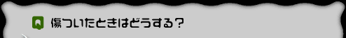 pDƂ͂ǂH