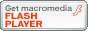 FLASH PLAYERoi[