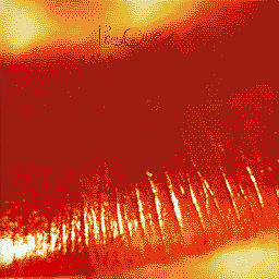 The Cure