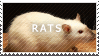 stamp 6